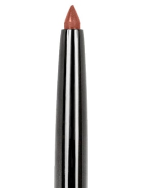 Delineador para labios aperlado Wet N Wild Perfect Pout
