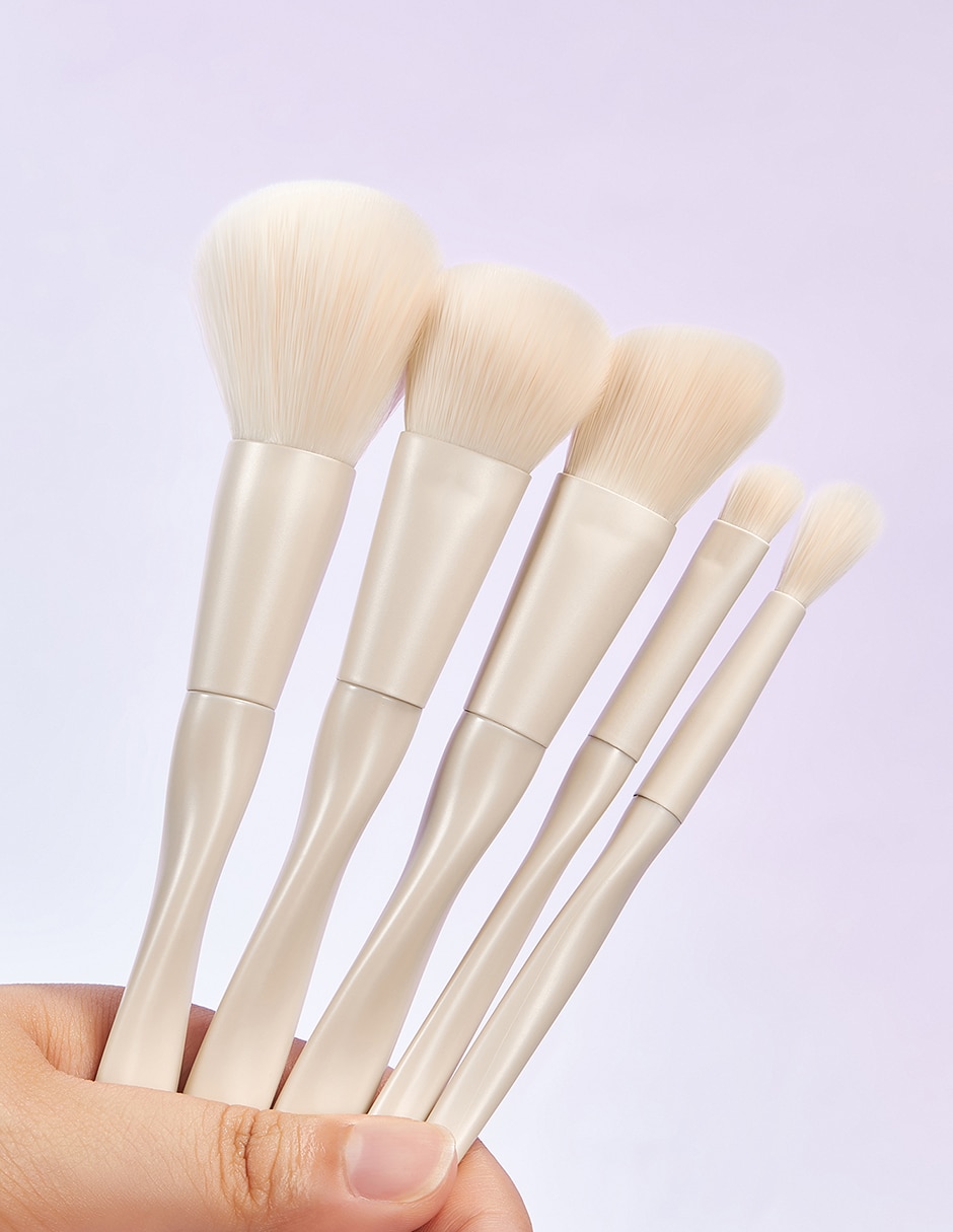Set de brochas 5